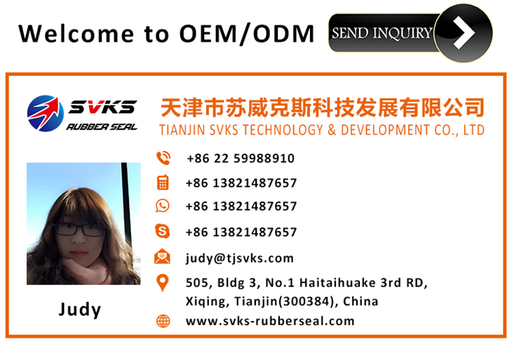 איש קשר - judy.png